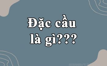 Ý nghĩa của đặc cầu trên Facebook, Tiktok