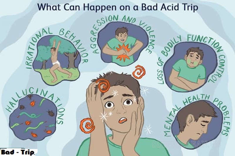 Khái niệm và tác hại của bad trip