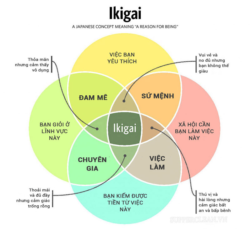 Vòng tròn IKIGAI
