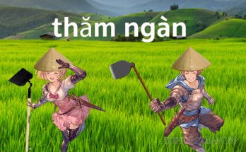 Meme thăm ngàn, kẹp ngần