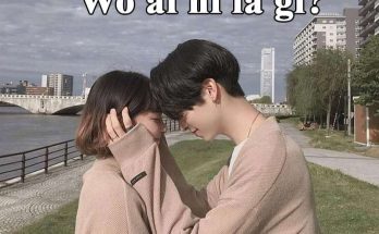 Wo ai ni trong tiếng Việt có nghĩa là anh yêu em hoặc em yêu anh